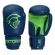 Kit de Boxe Pretorian Infantil