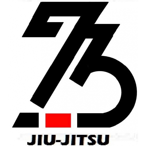 Aulas de Jiu Jitsu Infantil