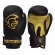 Kit de Boxe Pretorian Infantil