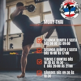 Aulas de Muay Thai