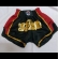 Shorts de Muay Thai Personalizado Jefferson Thai